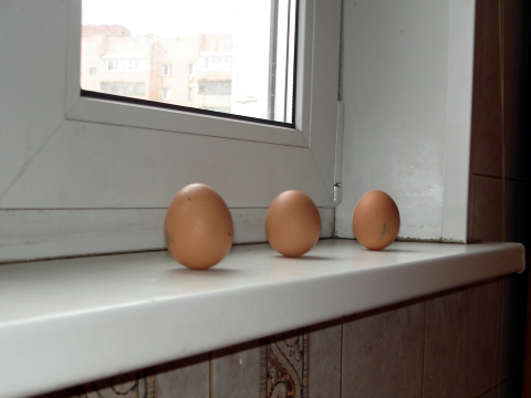 Стоящие яйца 2